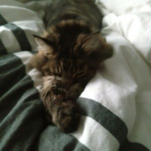 Meet your Posher, Aurora